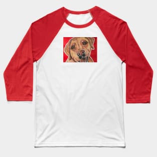 Smiling Labrador T-shirt Baseball T-Shirt